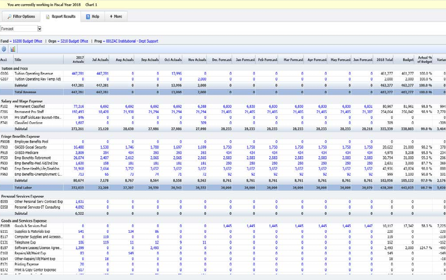 A screenshot of a 12-month set-up in the Millennium program. The pictures shows a table of data under "Report Results".